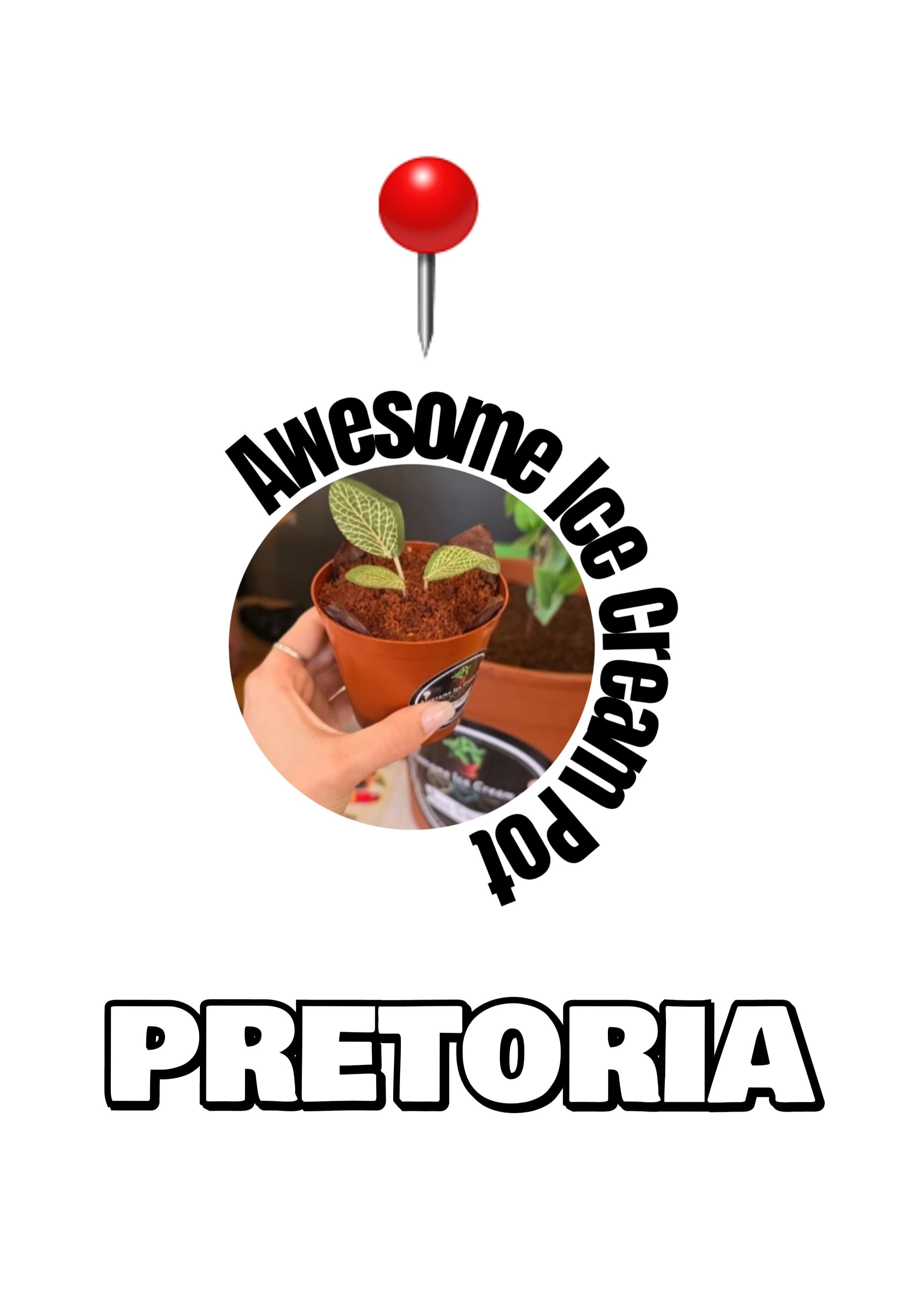 WhatsApp Image 2025-08-04 at 14.35.48