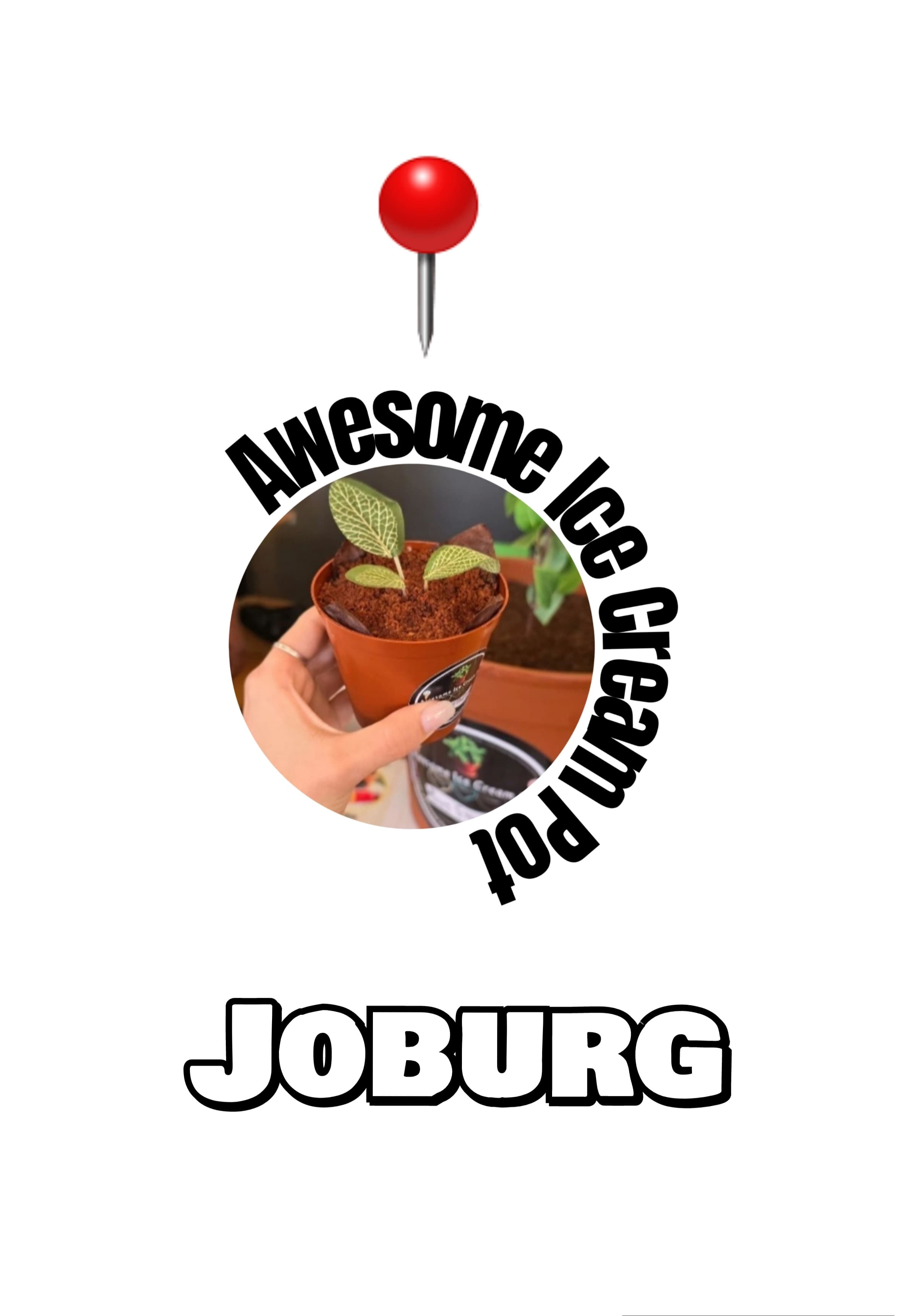 WhatsApp Image 2025-08-04 at 14.35.49